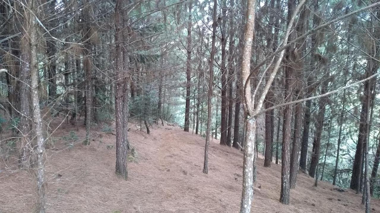 Chale Estancia Ouro Verde Lages Εξωτερικό φωτογραφία